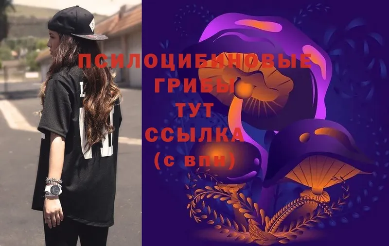 купить наркоту  мега tor  Псилоцибиновые грибы Psilocybe  Никольское 